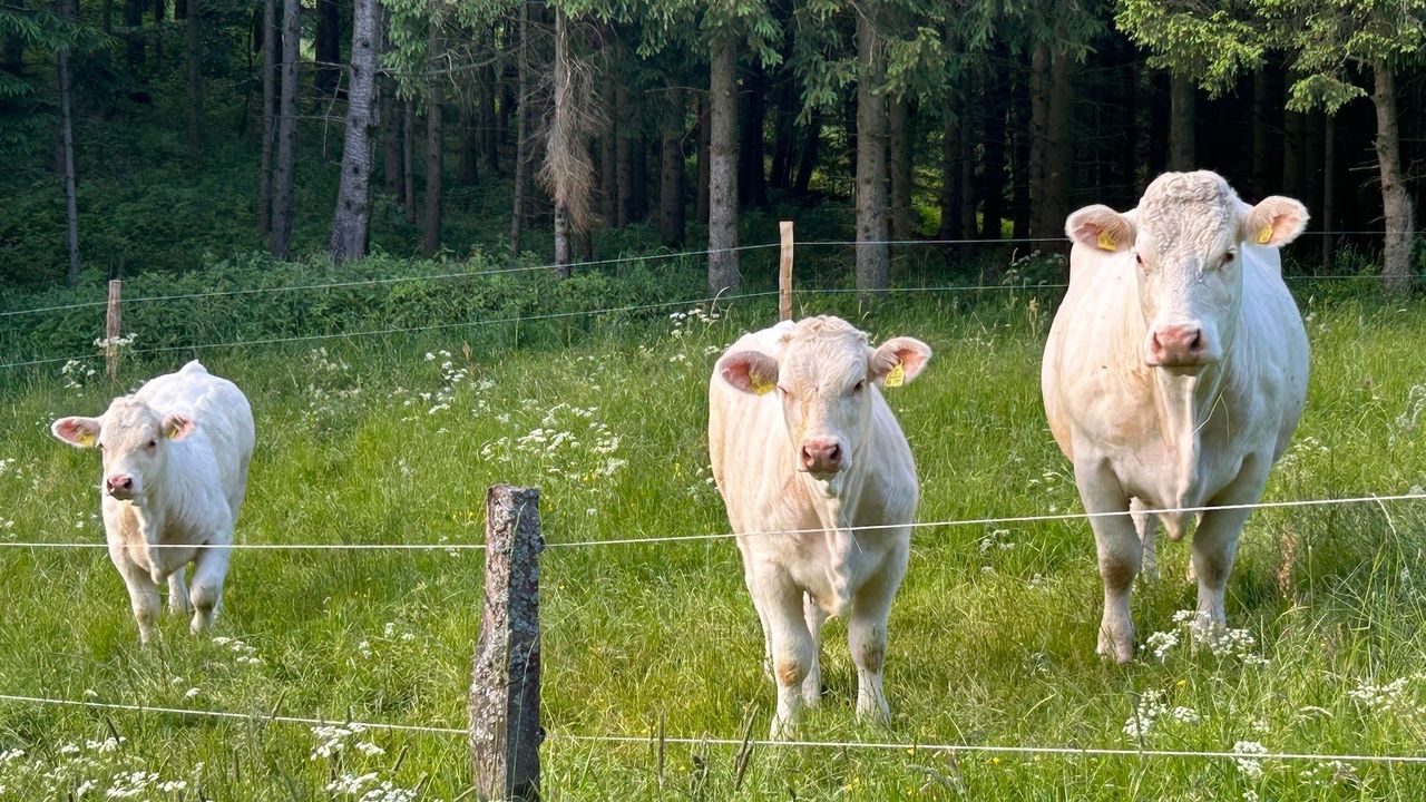 Landschaft Landschaft